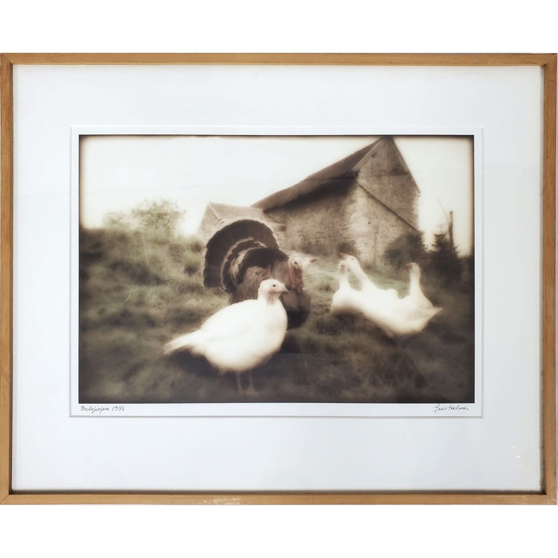 Hubert Grootecales, Belgian (1927-1994) Photograph (1 of 4)