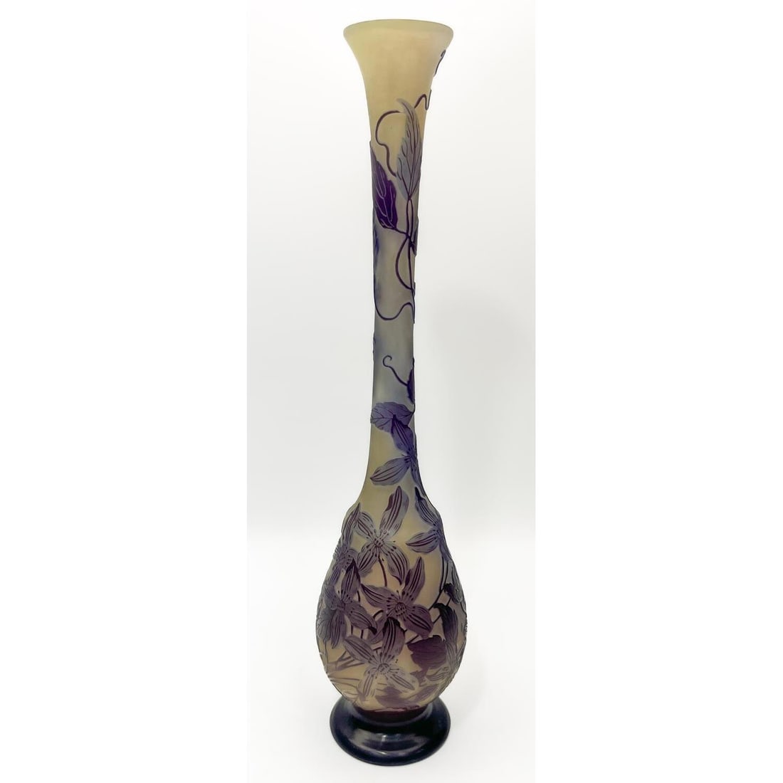 Galle Art Nouveau French Cameo Art Glass Vase (1 of 6)