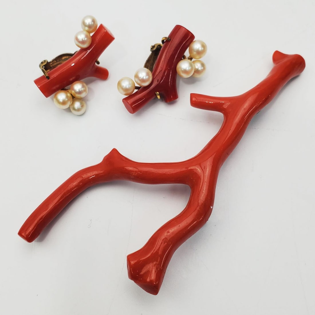 Unusual Large Coral & Silver Broche & Earrings (1 of 3)