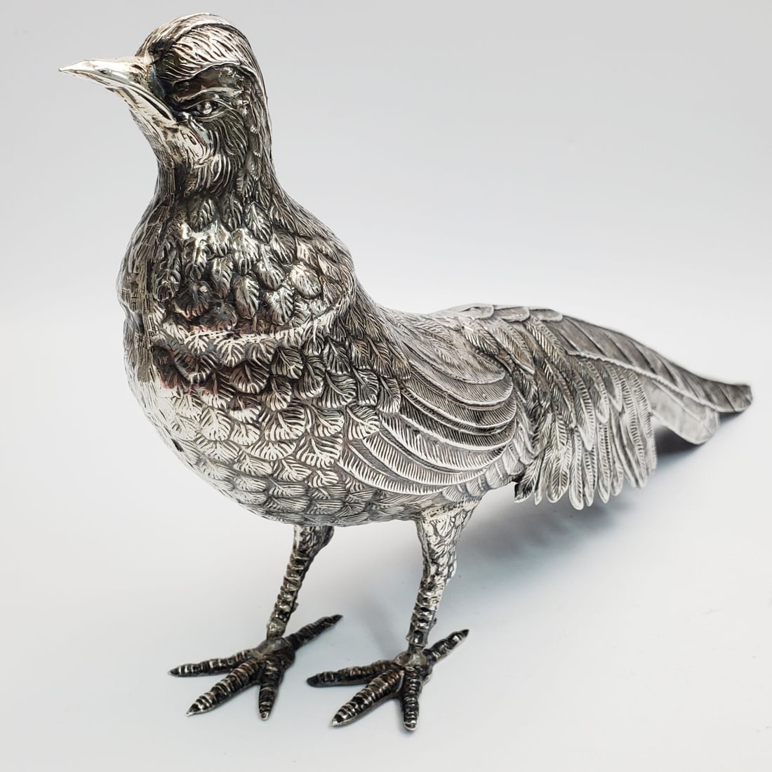 Large Silver Pheasant - 2