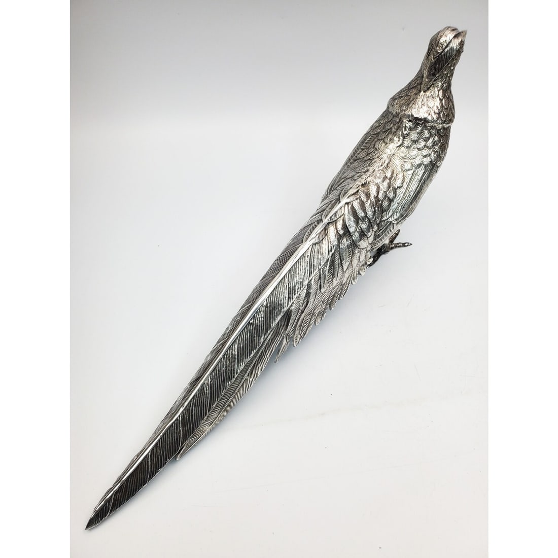 Large Silver Pheasant - 3