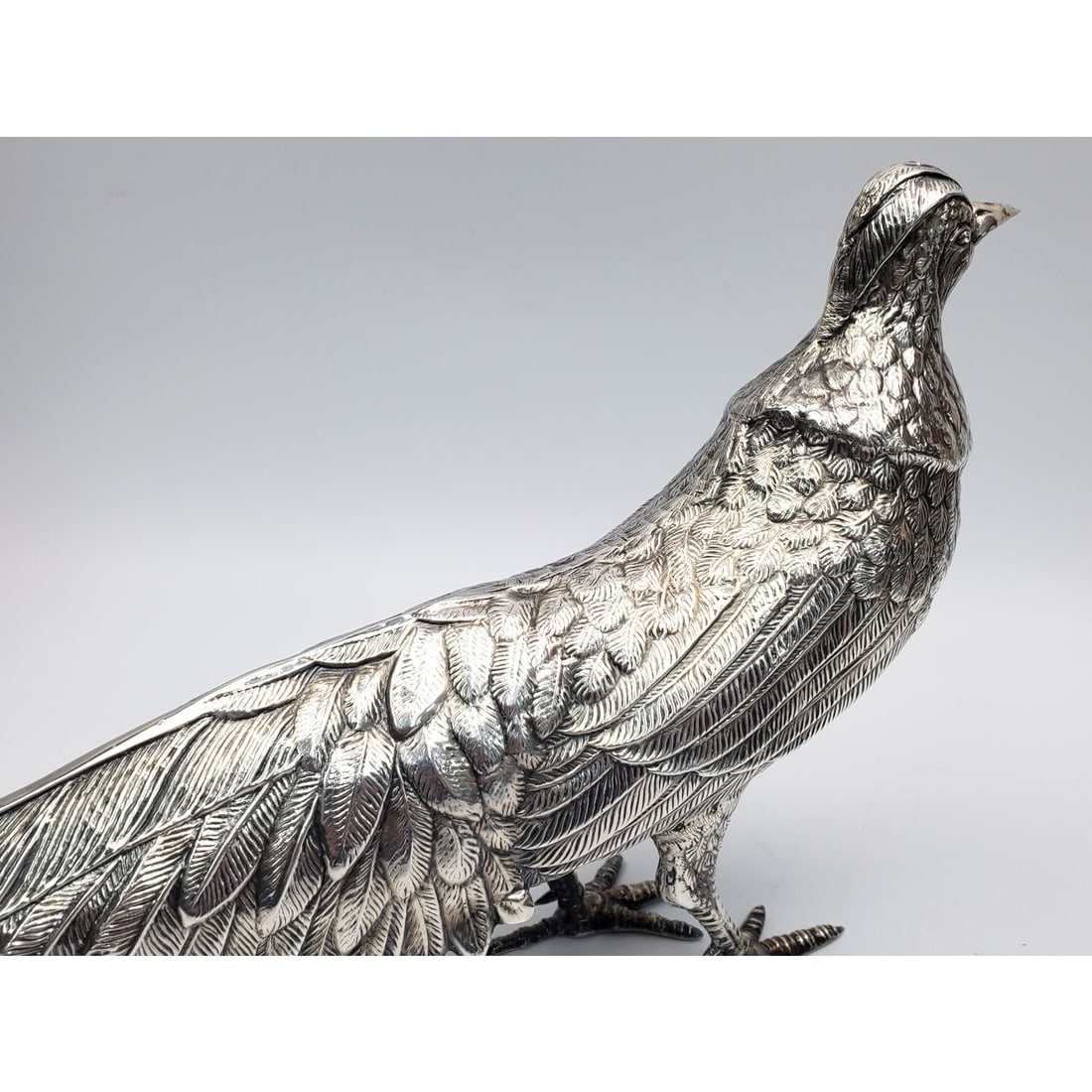 Large Silver Pheasant - 4
