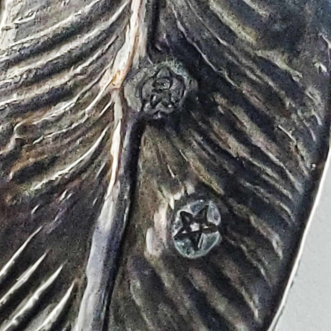 Large Silver Pheasant - 5