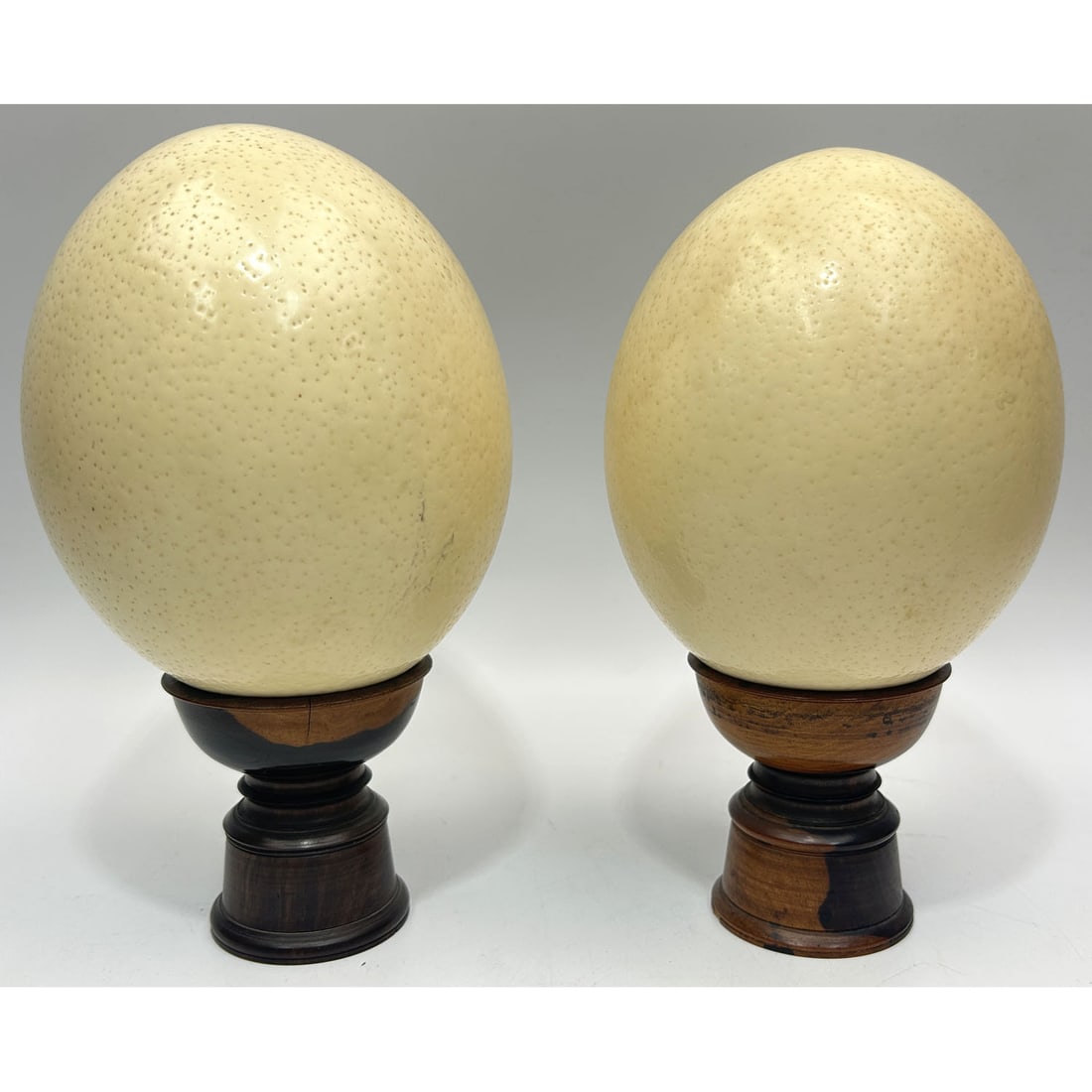 Pair of Large Old Ostrich Eggs: Pair of Large Old Ostrich Eggs On Original Carved Wood Stands. Condition: Generally Very Good. Dimensions: Each Egg- H-5.75" x W-4.75". Stand- H-3". Provenance: From a Long Island, NY Home. Please not