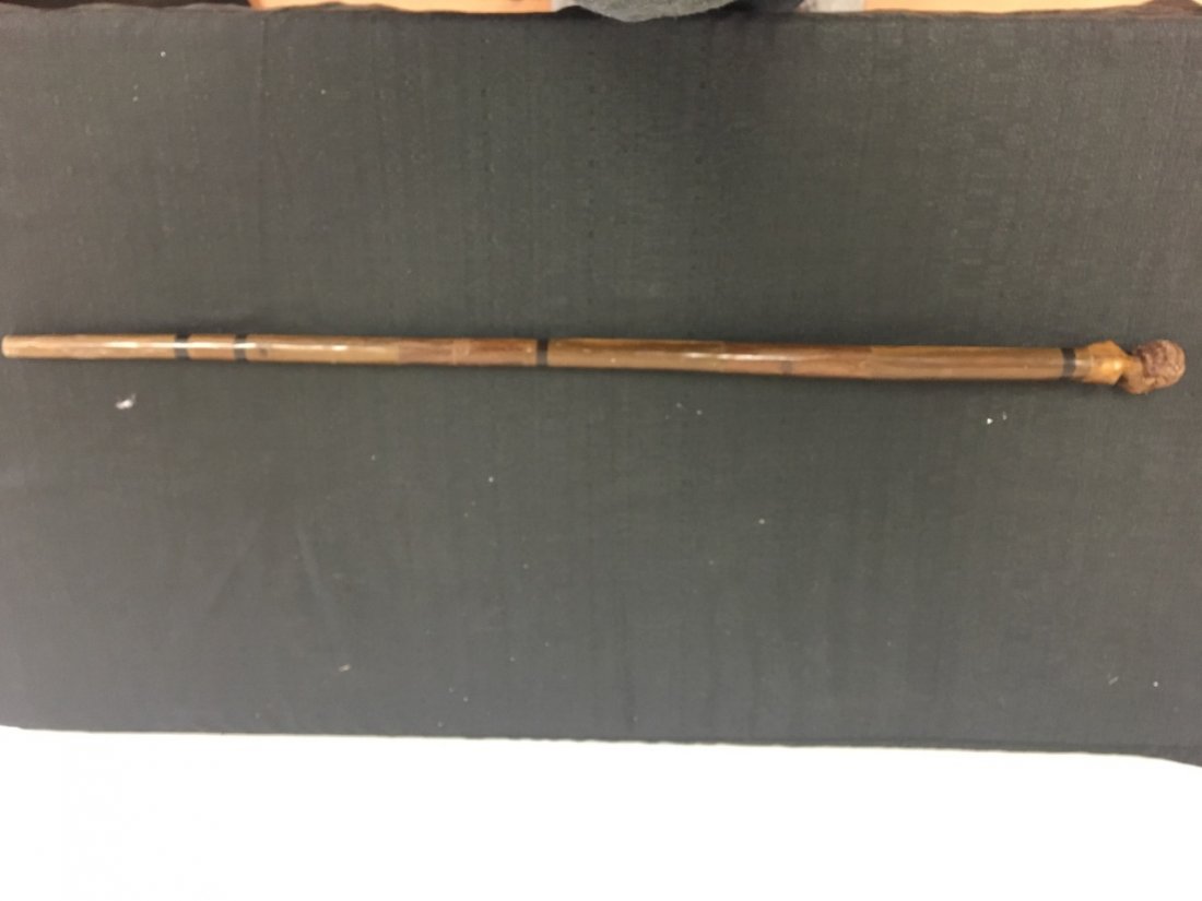 African Cane (1 of 4)