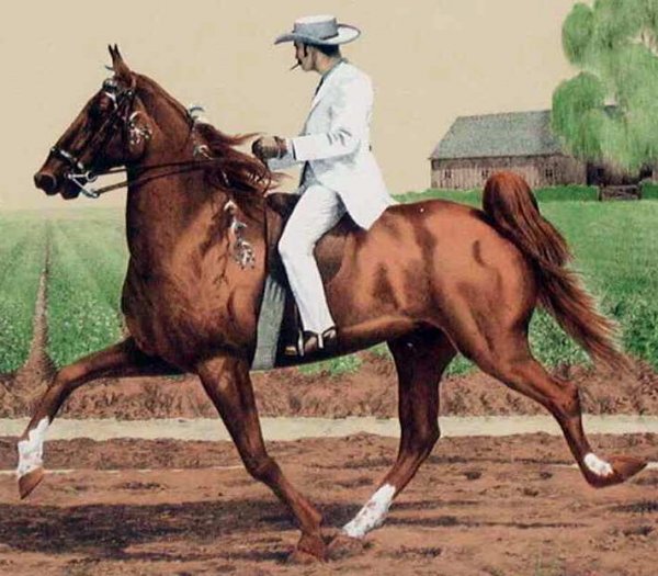 Mel Hunter, Tennessee Walker, Signed Lithograph - 2