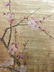 Chinese Hanging Scroll of Grass And Insect With Wu Wei - 7