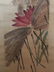 Chinese Watercolor Painting Scroll By Qi, Baishi - 9