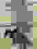 item-43067063=7