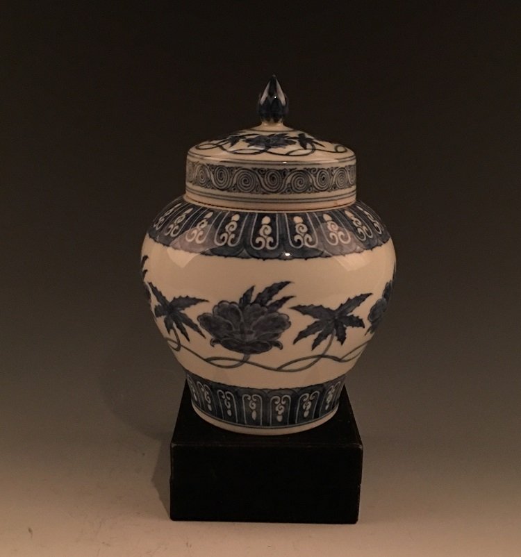Ming Blue and White Jar (1 of 6)
