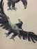 Chinese Ink Painting Scroll - 5