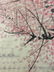 Chinese Watercolor Scroll - 5