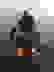 item-49718416=5