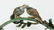 JAY STRONGWATER LOVE BIRDS FRAME ON MARBLE SWAROVSKI - 6