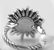 DAVID YURMAN 18mm STARBURST RING STERLING SILVER RED - 3