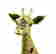 item-127816141=2