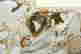 item-127816156=2