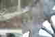 item-131326241=8