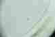 item-131326415=10