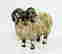 item-131326439=4