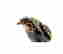 item-131326522=7