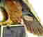 item-131326522=8