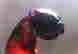 item-134287921=3