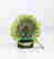 item-137335023=4