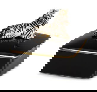 JAY STRONGWATER GORGEOUS ZEBRA PORCELAIN BLACK TRINKET BOX: JAY STRONGWATERAMAZING LARGE ZEBRA PORCELAIN TRINKET BOXPORCELAIN IN BLACK COLORBOX MADE IN PORTUGALEXTREMELY RARE!Handpainted Enamel over metalHand-set Multicolor Swarovski Crystals.Box: 4.5" x 4.5"T
