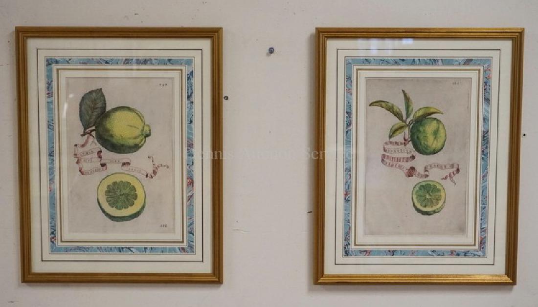 PAIR OF HAND COLORED ENGRAVINGS OF FRUIT. (1 of 4)
