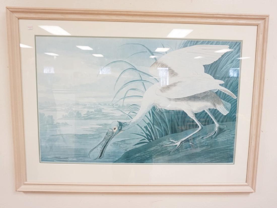 LARGE FRAMED PRINT OF A WADING BIRD. DOUBLE MATTED.: LARGE FRAMED PRINT OF A WADING BIRD. DOUBLE MATTED. IMAGE IS 35 IN X 22 IN