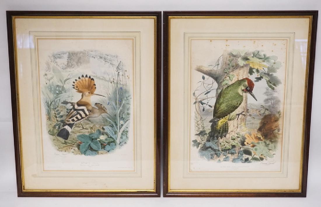 PAIR OF HAND COLORED BIRD PRINTS BY EDOUARD TRAVIES. 20 (1 of 7)