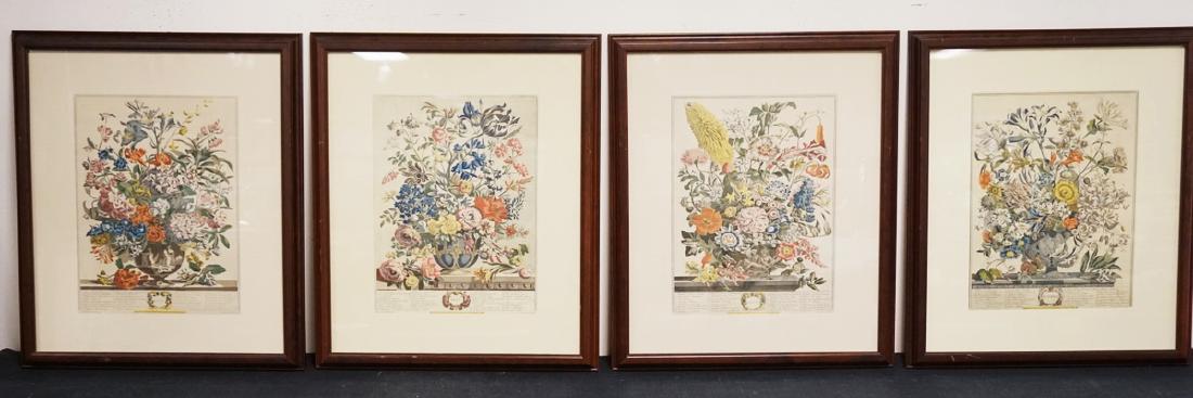 LOT OF 4 HAND COLORED BOTANNICAL PRINTS. 12 1/2 X 16 (1 of 6)