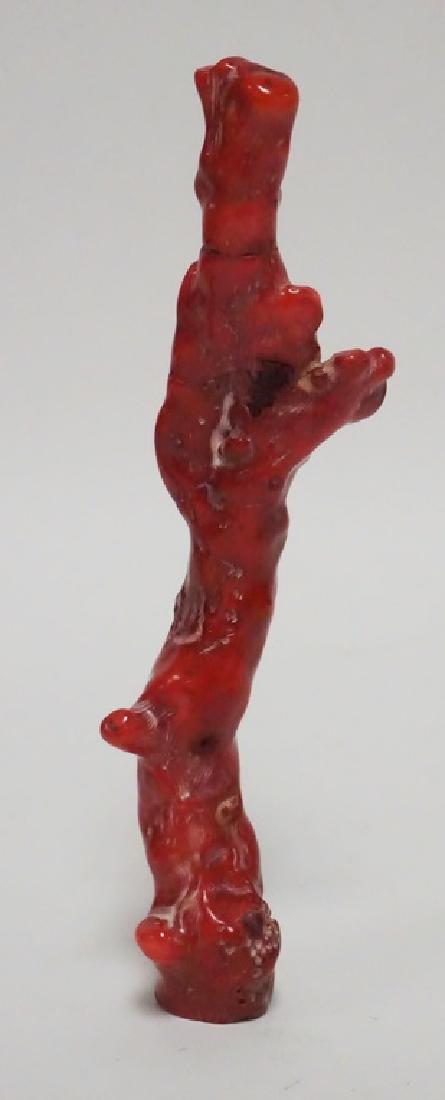 CORAL: ONE PIECE OF CORAL MEASURING 8 INCHES LONG. 200 GRAMS.