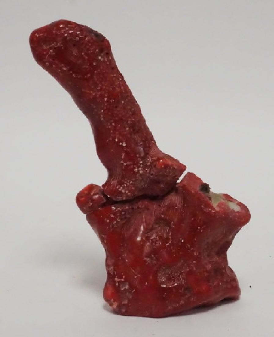 CORAL: ONE PIECE OF CORAL. BROKEN. APPROX 5 3/4 INCHES HIGH. 328 GRAMS.