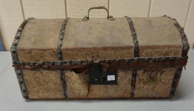 SMALL HIDE TRUNK (1 of 1)