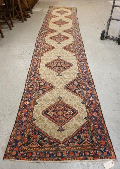 PERSIAN RUNNER (1 of 5)