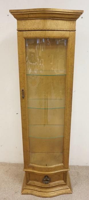 SMALL LIGHTED DISPLAY CABINET (1 of 2)