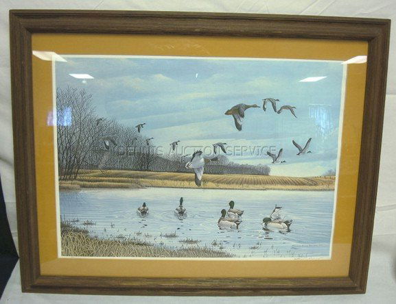 FRAMED PRINT; MALLARD DUCKS BY RICHARD EVANS YOUN: FRAMED PRINT; MALLARD DUCKS BY RICHARD EVANS YOUNGER, 1976; IMAGE IS 25 1/4 IN X 18 1/4 IN; OVERALL 32 3/4 IN X 25 3/5 IN