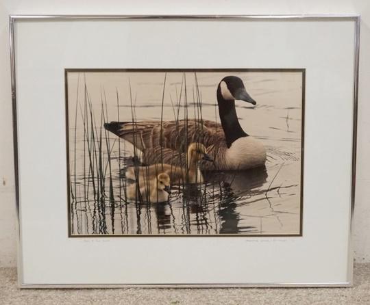 JOAN RICHARDS WILDLIFE PHOTO *PEEK-A-BOO GEESE*: JOAN RICHARDS WILDLIFE PHOTO *PEEK-A-BOO GEESE* FRAMED & DOUBLE MATTED 20 1/8 IN X 16 1/4 IN INCLUDING FRAME