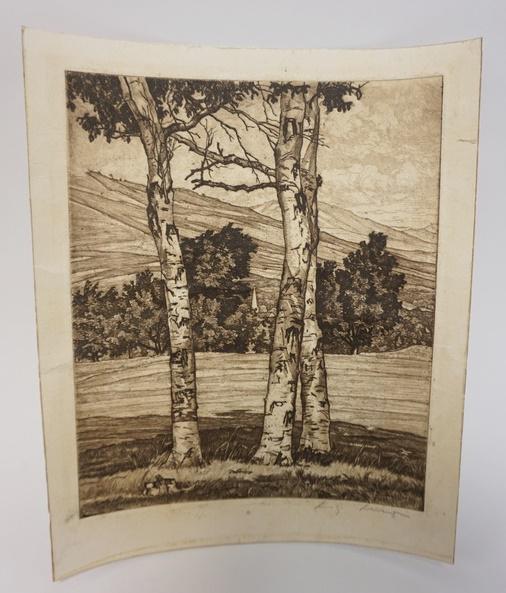 LUGI LUCIONI SIGNED BIRCH PRINT: LUGI LUCIONI UNFRAMED SIGNED BIRCH PRINT, 10 1/2 IN X 13 IN
