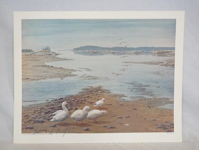 SIGNED D. CROSBY BROWN LIMITED EDITION PRINT *ROSS' (1 of 3)