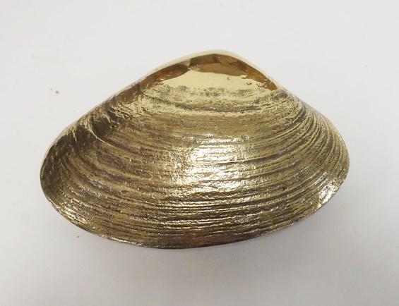 BRASS SHELL FORM DOOR KNOCKER: BRASS SHELL FORM DOOR KNOCKER, 7 IN X 5 IN