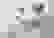 item-105104536=2