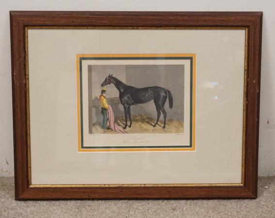 ANTIQUE HORSE PRINT (1 of 2)