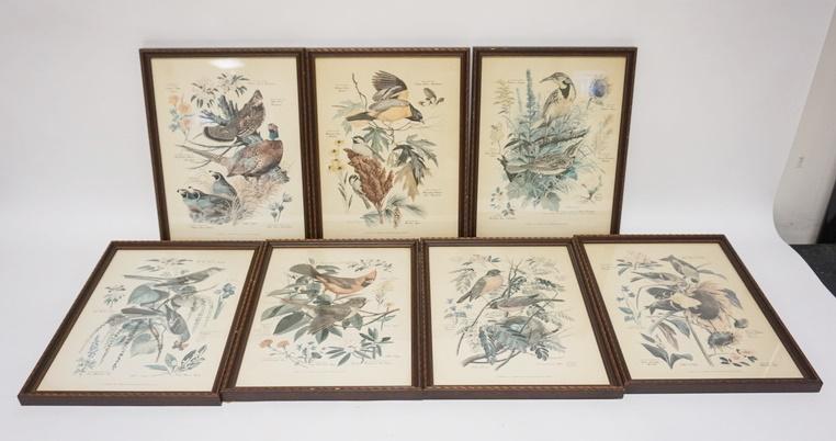 Arthur Singerアーサーシンガー！フラミンゴバレット。鳥のArtist Vintage Arthur Singer Bird Prints Set Of 8 | eBay
