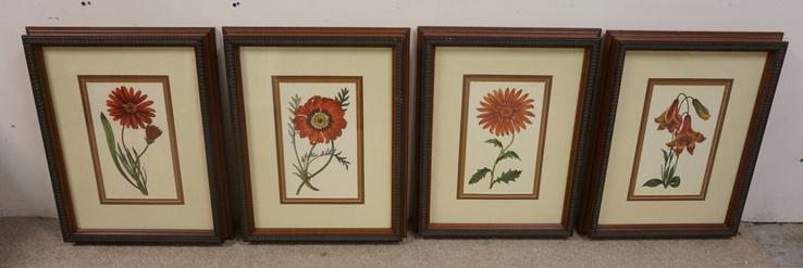 SET OF 4 FLORAL PRINTS (1 of 3)