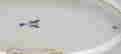 item-114146415=2