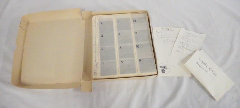 LOT OF VICTOR G. MACAROL NEGATIVES (1 of 1)