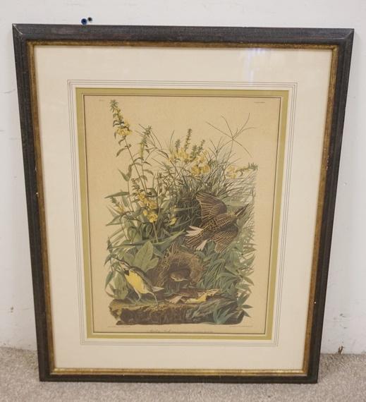 AUDUBON MEADOW LARK (1 of 7)